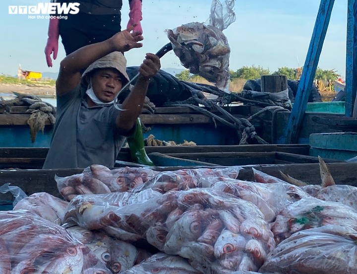 Ảnh: Nhộn nhịp thuyền về đầy ắp tôm cá ở 'làng chài giàu nhất nước' - 8