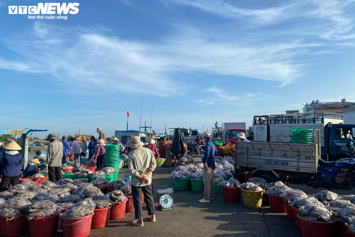 Ảnh: Nhộn nhịp thuyền về đầy ắp tôm cá ở 'làng chài giàu nhất nước' - 7