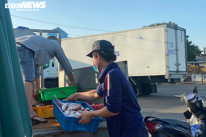 Ảnh: Nhộn nhịp thuyền về đầy ắp tôm cá ở 'làng chài giàu nhất nước' - 13