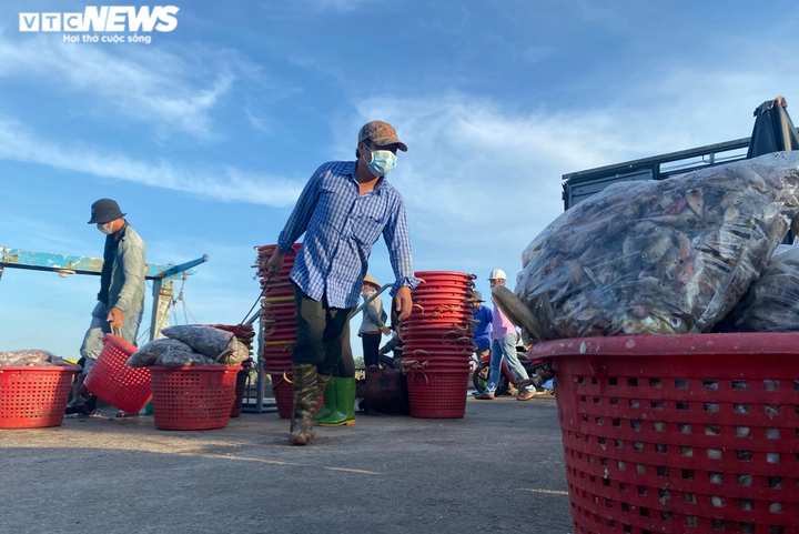 Ảnh: Nhộn nhịp thuyền về đầy ắp tôm cá ở 'làng chài giàu nhất nước' - 11