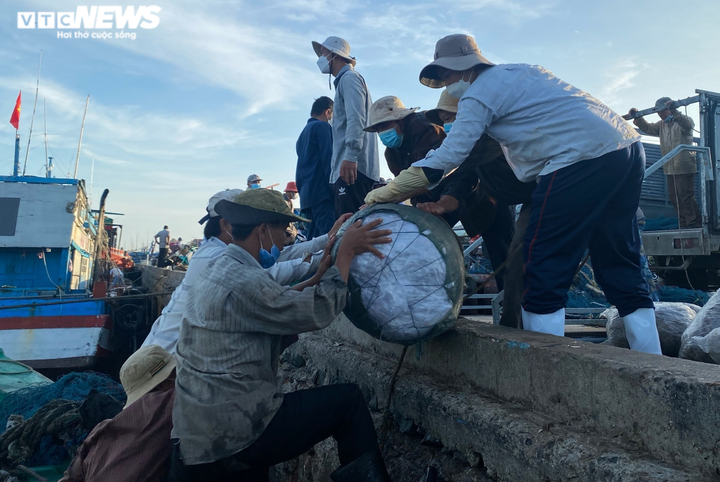 Ảnh: Nhộn nhịp thuyền về đầy ắp tôm cá ở 'làng chài giàu nhất nước' - 5