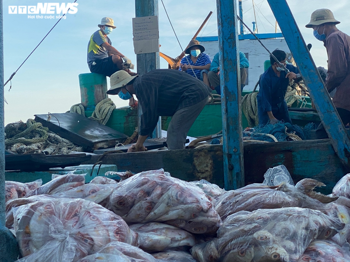 Ảnh: Nhộn nhịp thuyền về đầy ắp tôm cá ở 'làng chài giàu nhất nước' - 6
