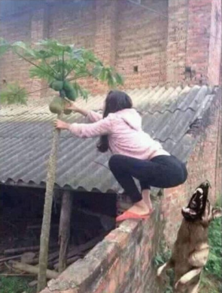 Vừa thương vừa không nhịn được cười với loạt khoảnh khắc xui xẻo của dân tình - 10