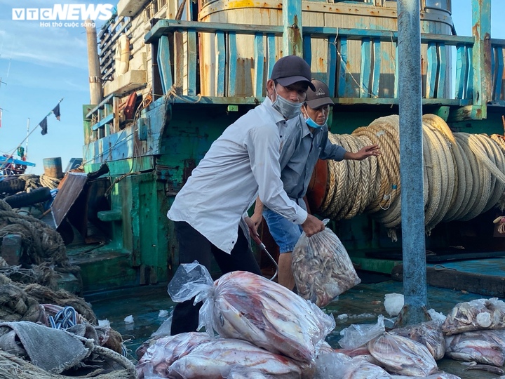 Ảnh: Nhộn nhịp thuyền về đầy ắp tôm cá ở 'làng chài giàu nhất nước' - 14