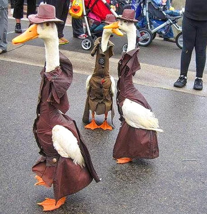 Khi 'team đi đường' chụp vu vơ , vô tình cho ra bộ ảnh kỳ quặc đến hài hước - 4