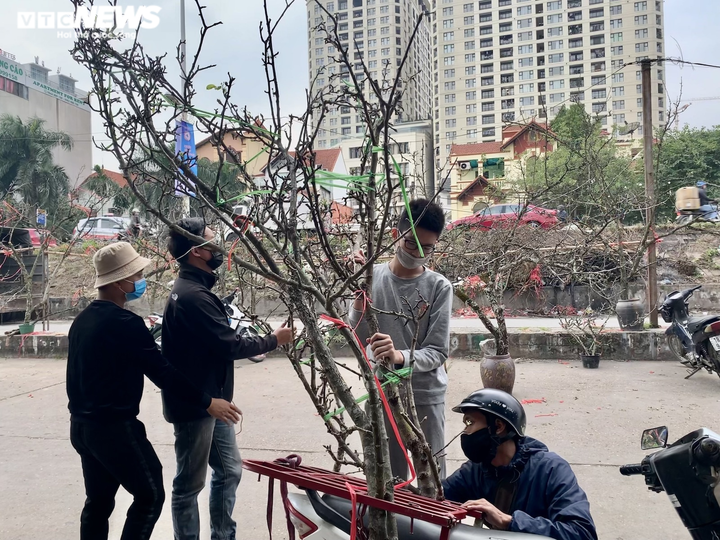 Đặc sản Tây Bắc đổ bộ, phố phường Hà Nội bừng sắc xuân - 10