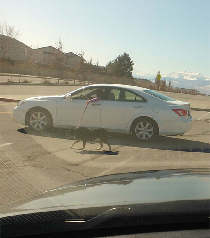 Khi các thánh lười cho thế giới thấy sự biếng nhác được 'nâng lên tầm cao mới' - 3