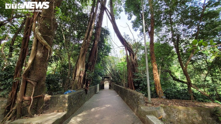 Ngôi chùa lưu giữ mộc bản Kinh Phật khắc trên gỗ thị cổ nhất Việt Nam - 1