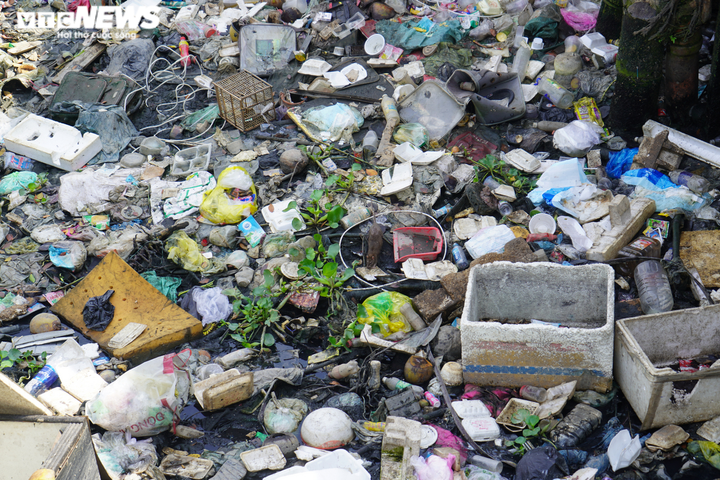 Ảnh: Cuộc sống của người dân bên con rạch ngập rác, ô nhiễm nhất TP.HCM - 6