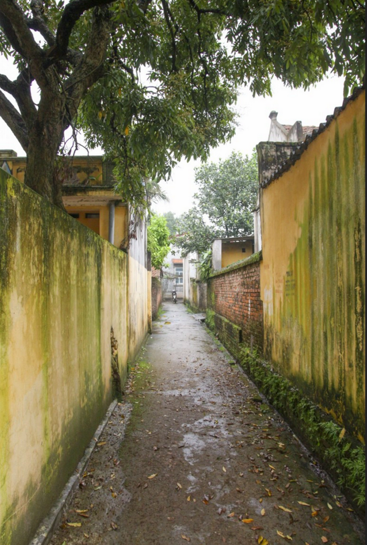 Đất Việt xưa: Ngôi làng 200 tuổi giữ được vẻ cổ kính nguyên vẹn nhất Việt Nam - 7