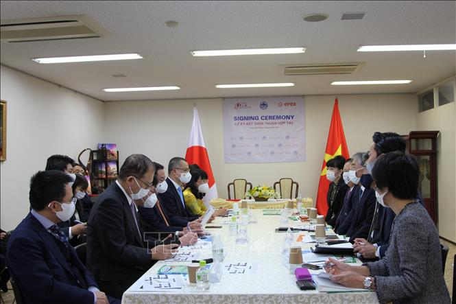 Tập đoàn của 'Vua cá ngừ' Nhật và tỉnh đánh bắt cá ngừ lớn nhất Việt Nam hợp tác - 4