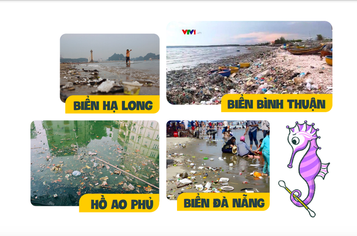 Cô gái Hà Thành và ý tưởng 'nhà hàng nhựa sản' thay thế nhà hàng hải sản - 11