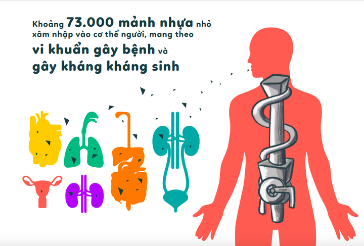 Cô gái Hà Thành và ý tưởng 'nhà hàng nhựa sản' thay thế nhà hàng hải sản - 16