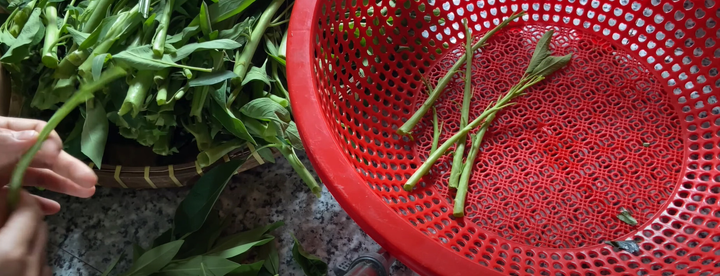 Miền Tây có loại cỏ mọc dại được người dân hái về ăn, khen ngon hơn cả rau muống - 3