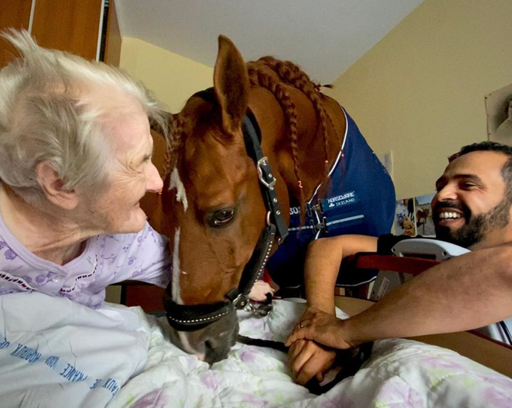 Chú ngựa ‘bác sĩ’ có ‘phép màu’ giúp bệnh nhân hết đau đớn và hạnh phúc hơn - 5