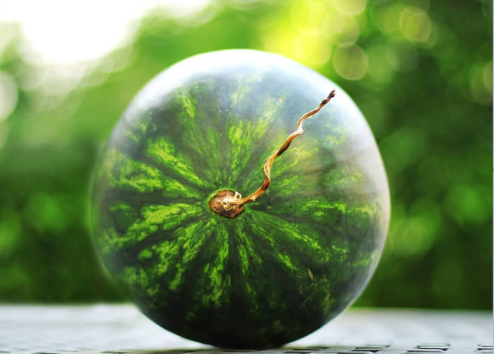 Người tiêu dùng sợ mua nhầm dưa hấu nhạt vị, nhớ 4 tiêu chuẩn để chọn dưa ngon - 1