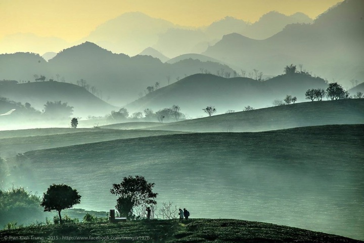 Mê đắm ngắm những ‘đường cong’ tuyệt mỹ của đồi chè Mộc Châu từ trên cao - 9