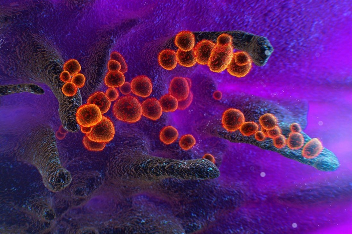 Nhóm chuyên gia WHO chính thức 'lật lại' cuộc điều tra nguồn gốc COVID-19 - 1