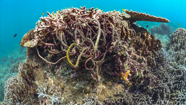 Tiện 1 phút, hại nghìn năm: Quy tắc 5R và lời kêu gọi cứu biển từ 3 thanh niên - 2