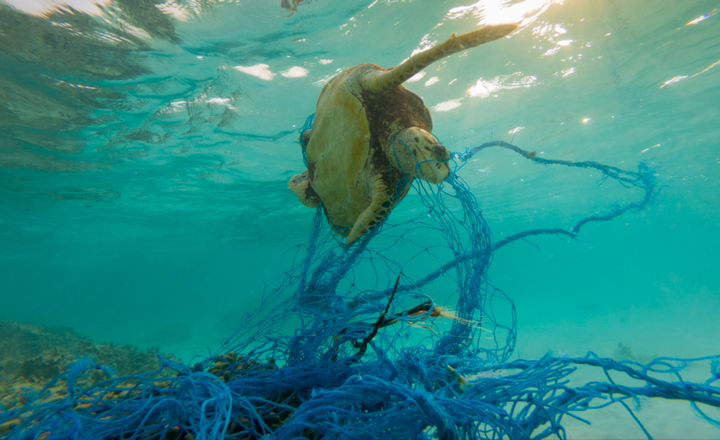 Tiện 1 phút, hại nghìn năm: Quy tắc 5R và lời kêu gọi cứu biển từ 3 thanh niên - 3