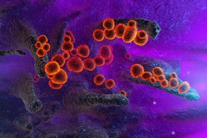 WHO đặt tên siêu biến chủng mới của COVID-19 là Omicron - 1