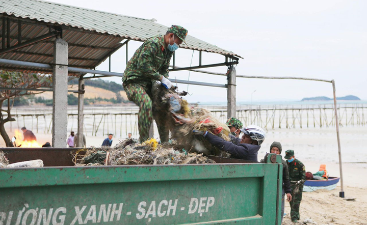 Bãi biển Cô Tô thơ mộng bị rác bủa vây tứ bề, xã đảo huy động tổng lực thu gom - 13