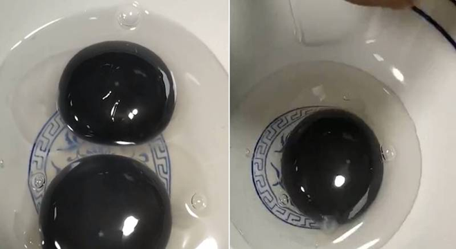 Ngỗng đẻ trứng lòng đen cực hiếm gây xôn xao - 1