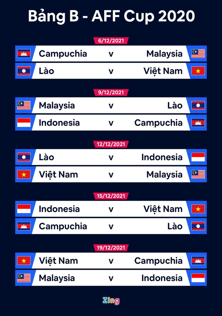 AFF Cup ảnh 2 HLV Malaysia lo cầu thủ không đủ sức đá AFF Cup - 2