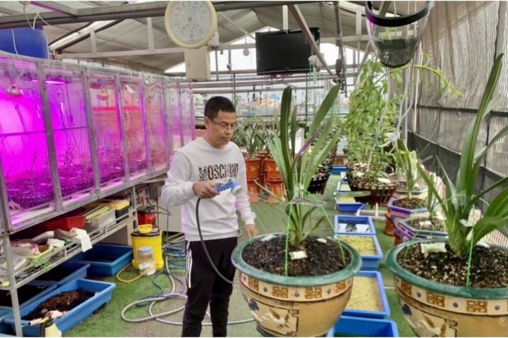 Ông chủ vườn lan Đăng Kiên và niềm tin vào ngành lan phát triển mạnh mẽ - 6