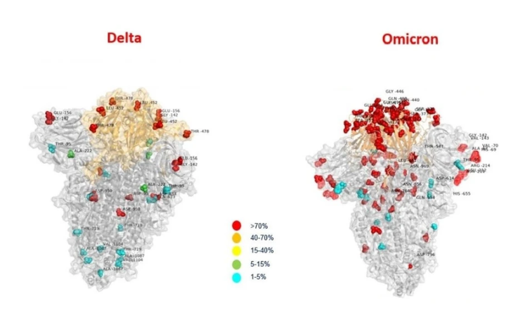 3 tuần lây lan chóng mặt tới 4 châu lục của Omicron - 1