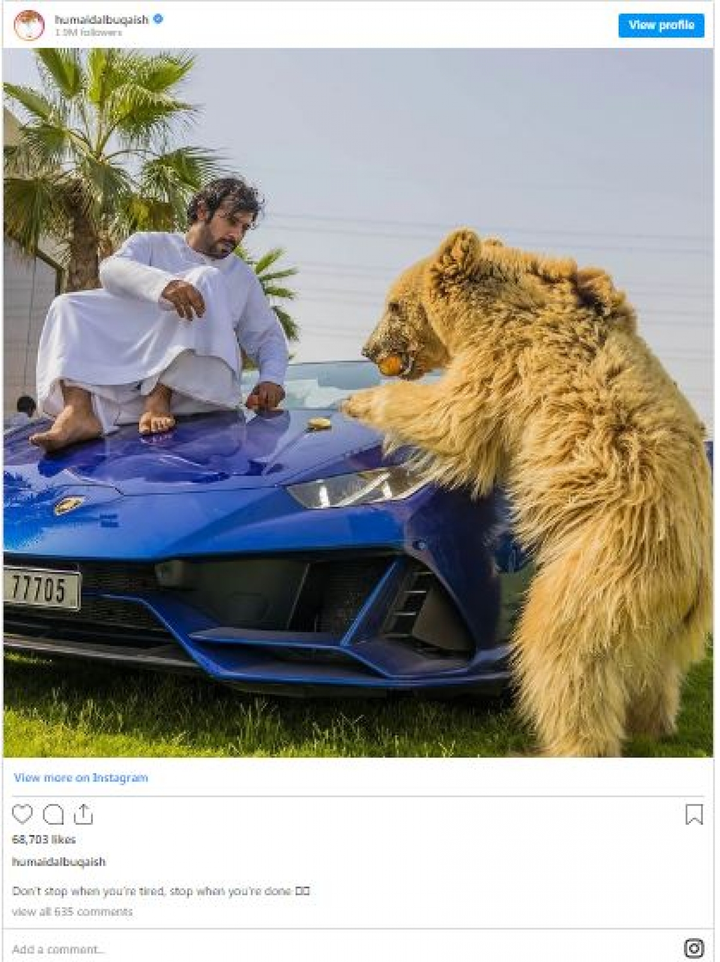 Video: Siêu xe Lamborghini Huracan Performante bay cánh cửa vì gấu - 1