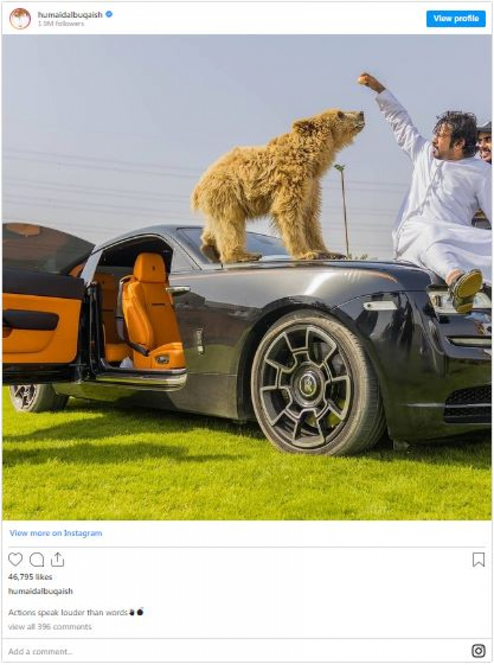 Video: Siêu xe Lamborghini Huracan Performante bay cánh cửa vì gấu - 2