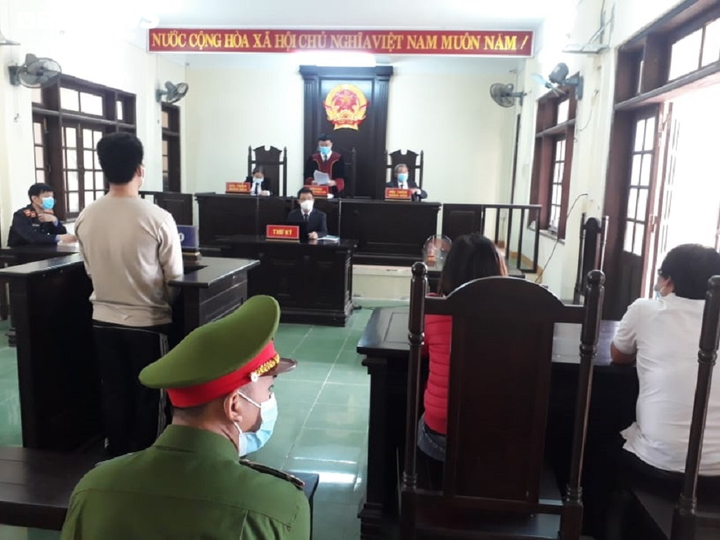 Lừa đảo mua bán lan đột biến, nam thanh niên ở Quảng Nam lĩnh án - 1