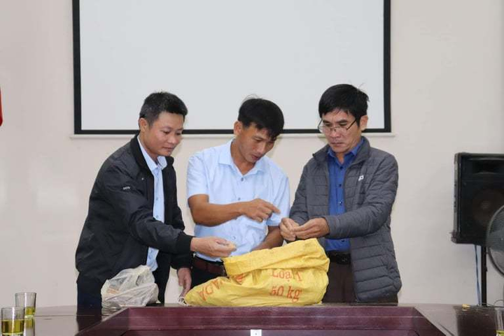 Ủi đất bên sông, phát hiện 27kg tiền cổ nghìn năm - 2