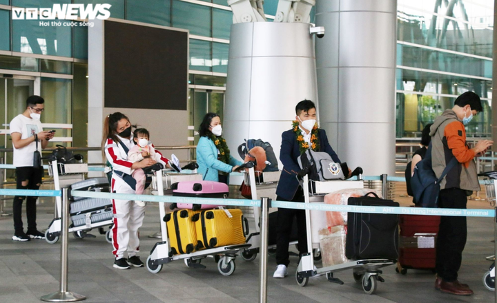 Đà Nẵng: Rất ít doanh nghiệp đủ điều kiện đón, phục vụ khách du lịch quốc tế - 1