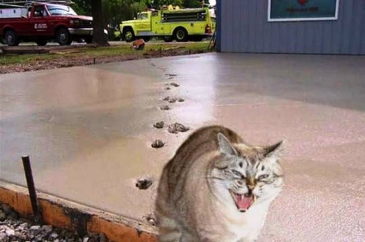 Hình ảnh khiến người bình tĩnh nhất cũng phải 'sôi máu' vì 'hội chuyên phá hoại' - 9