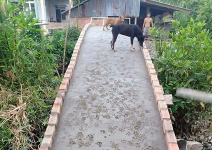 Hình ảnh khiến người bình tĩnh nhất cũng phải 'sôi máu' vì 'hội chuyên phá hoại' - 2