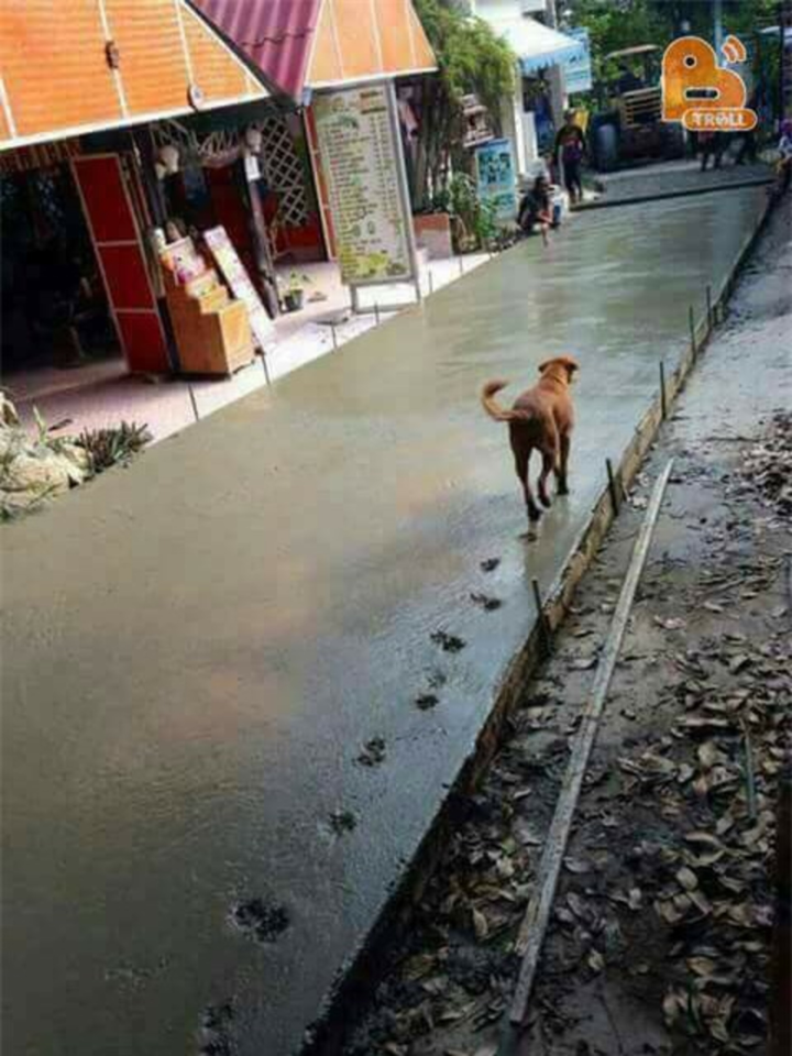 Hình ảnh khiến người bình tĩnh nhất cũng phải 'sôi máu' vì 'hội chuyên phá hoại' - 1