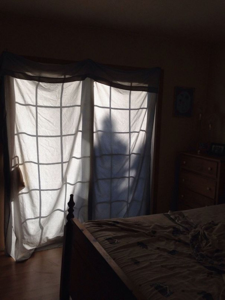 Giật mình với những hình ảnh dễ gây hiểu lầm không dành cho người nhát gan - 1