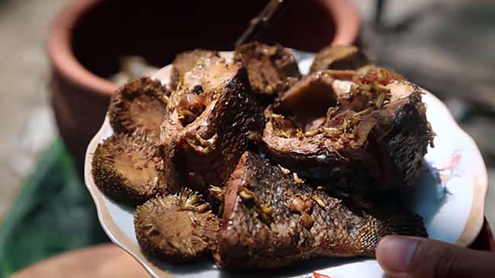 Quả gáo là quả gì mà người Ninh Bình lại dùng để kho cá, át được hết mùi tanh? - 1