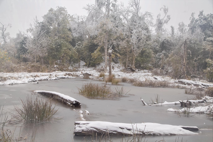 Không phải Sapa, ở Việt Nam còn có một bản làng săn tuyết đẹp như phim Hàn - 5