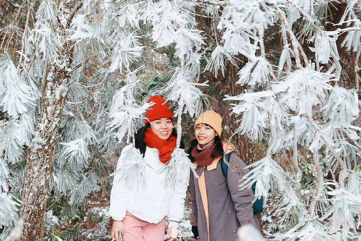 Không phải Sapa, ở Việt Nam còn có một bản làng săn tuyết đẹp như phim Hàn - 11