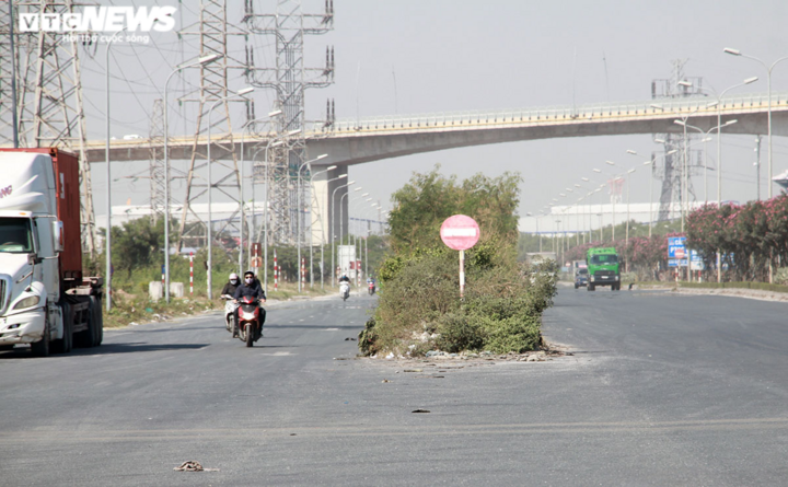 Nhiều người tử nạn trên tuyến đường cây dại mọc như rừng ở Hải Phòng - 12