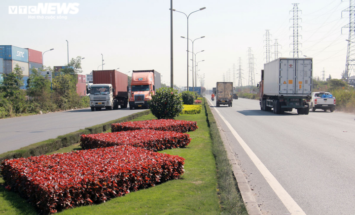 Nhiều người tử nạn trên tuyến đường cây dại mọc như rừng ở Hải Phòng - 19