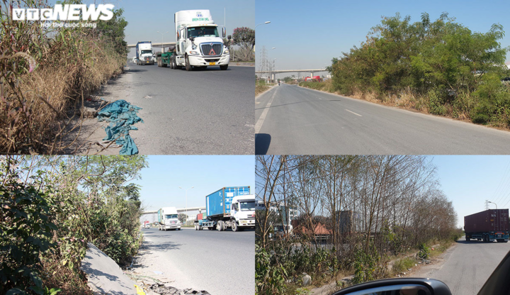 Nhiều người tử nạn trên tuyến đường cây dại mọc như rừng ở Hải Phòng - 4