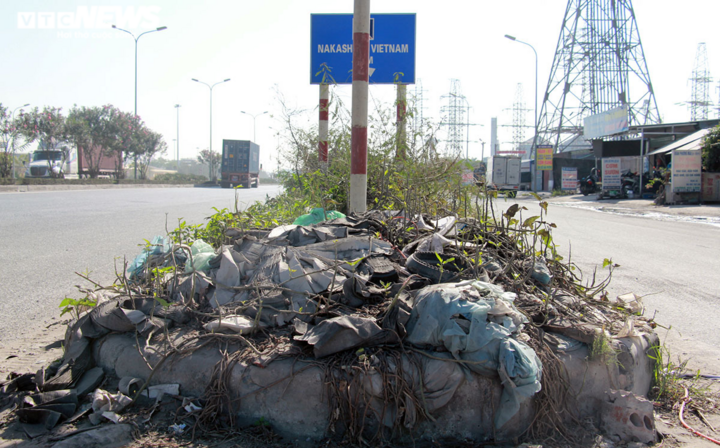 Nhiều người tử nạn trên tuyến đường cây dại mọc như rừng ở Hải Phòng - 7