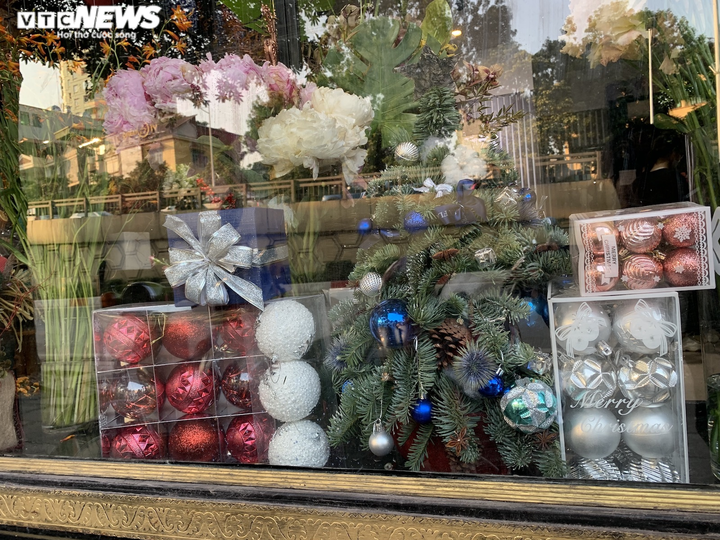 Ảnh: Thông tươi nhập ngoại giá chục triệu đồng 'cháy hàng' dịp Noel - 12