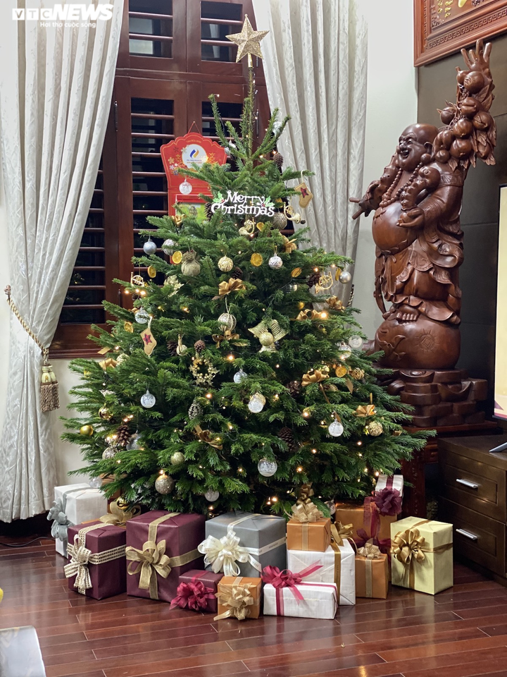 Ảnh: Thông tươi nhập ngoại giá chục triệu đồng 'cháy hàng' dịp Noel - 10