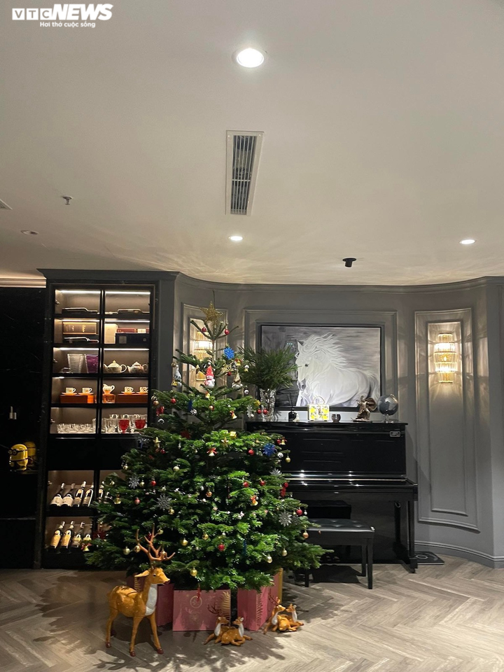 Ảnh: Thông tươi nhập ngoại giá chục triệu đồng 'cháy hàng' dịp Noel - 11