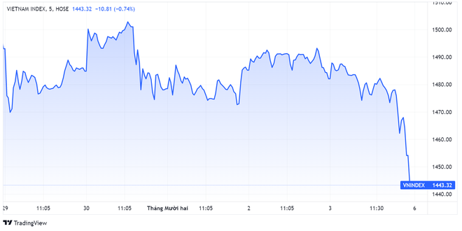 Một cổ phiếu tăng giá hơn 100% trong tuần chứng khoán lao dốc - 1